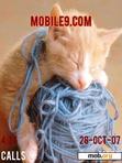 Download mobile theme cat sleep