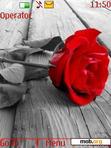 Download mobile theme red rose