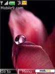 Download mobile theme water drop