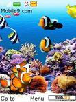 Download mobile theme aquarium