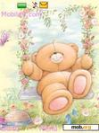 Download mobile theme Cute Bear