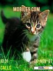 Download mobile theme cat5