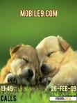 Download mobile theme Two friends