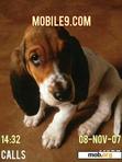 Download mobile theme dog2