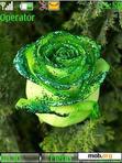 Download mobile theme green rose