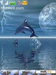 Download mobile theme Dolphin Lightning