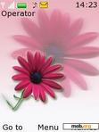 Download mobile theme Pink Flower