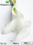 Download mobile theme white lilly