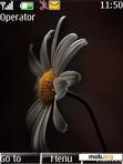 Download mobile theme darkness flower