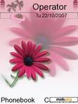 Download mobile theme Pink Flower