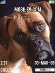 Download mobile theme DOG