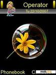 Download Thema 