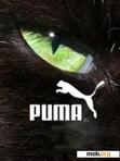 Скачать тему Puma_Eye