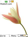 Download mobile theme tulip