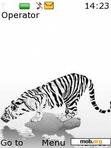 Download mobile theme White Tiger