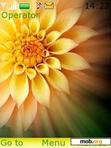 Download mobile theme Yellow Flower