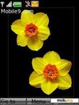 Download mobile theme yelow flower