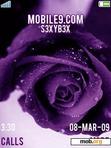 Download mobile theme Pretty Purple Rose