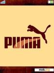 Скачать тему Brown_Puma