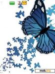 Download mobile theme blue Butterfly