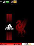 Download mobile theme Adidas Dragon