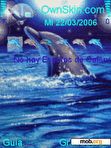 Download mobile theme Animated Dolphins5 Ana76