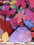 Download mobile theme Autumn Leaves