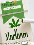 Скачать тему marlboro green