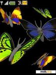 Download mobile theme animated butterfly