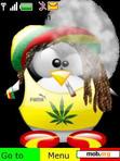 Download mobile theme rasta