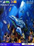 Download mobile theme fishworld