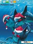 Download mobile theme Xmas Dolphins