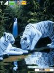 Download mobile theme Animated White Tigers