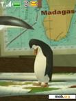 Download mobile theme Animated Penguin Seeking Coordinates