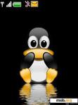 Download mobile theme Animated Penguin Peek-a-Boo