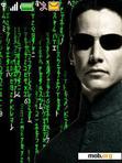 Download mobile theme Animated Matrix