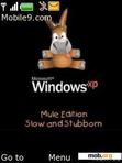 Скачать тему Windows Xp Mule Edition