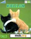 Download mobile theme cats