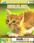 Download mobile theme cat