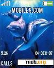 Download mobile theme dolphins