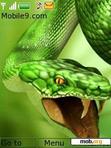 Download mobile theme green snake