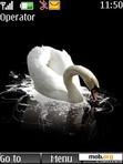 Download mobile theme beautifull swan