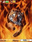 Download mobile theme tiger