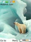 Download mobile theme polar bear