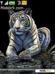 Download mobile theme tiger_tiger