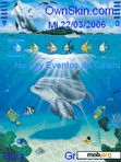 Скачать тему Animated Dolphins6 Ana76