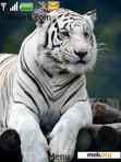 Скачать тему white tiger