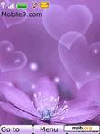 Download mobile theme Purple Love Flower