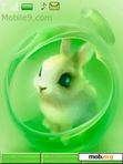 Download mobile theme animated bunny