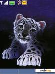 Download mobile theme animated tiger